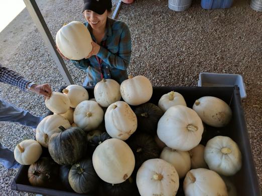 Environmental and Plant Sciences GSO